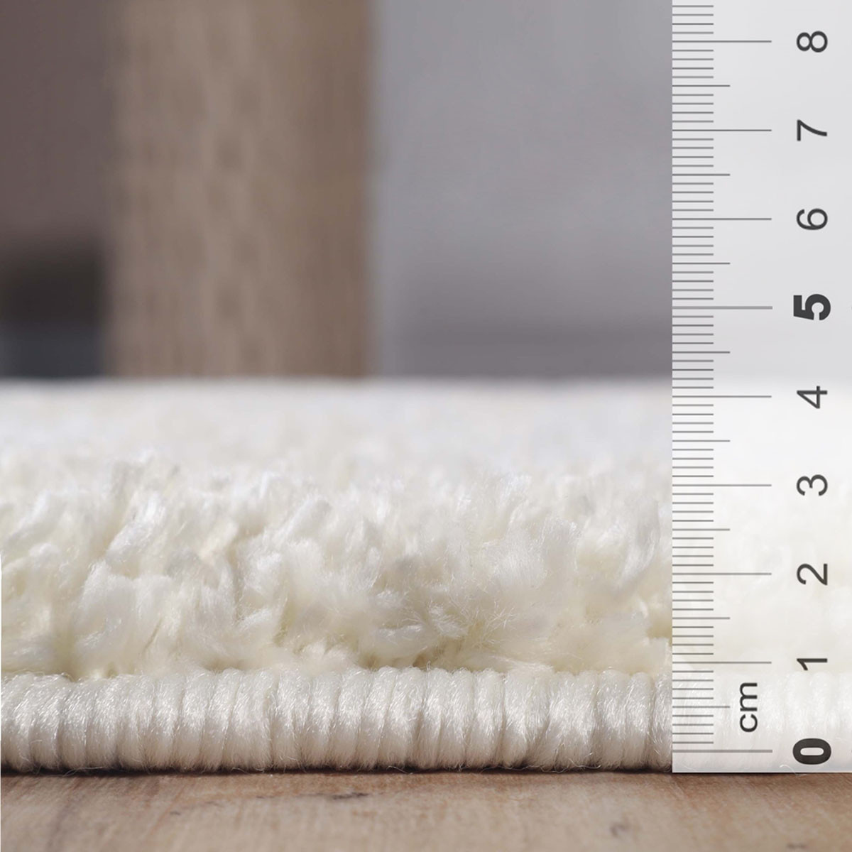 4" X 6" Ivory Shag Stain Resistant Area Rug