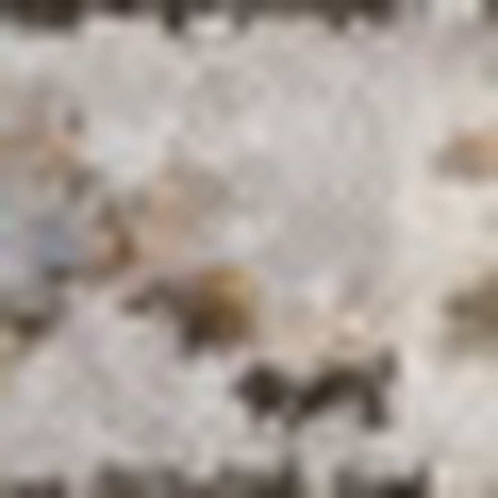 5" X 8" Grey And Blue Oriental Power Loom Stain Resistant Area Rug With Fringe