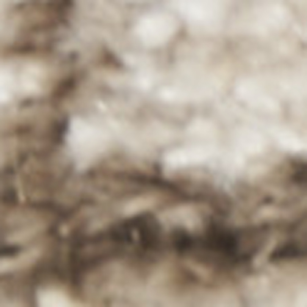 4" X 6" Beige Oriental Power Loom Washable Area Rug