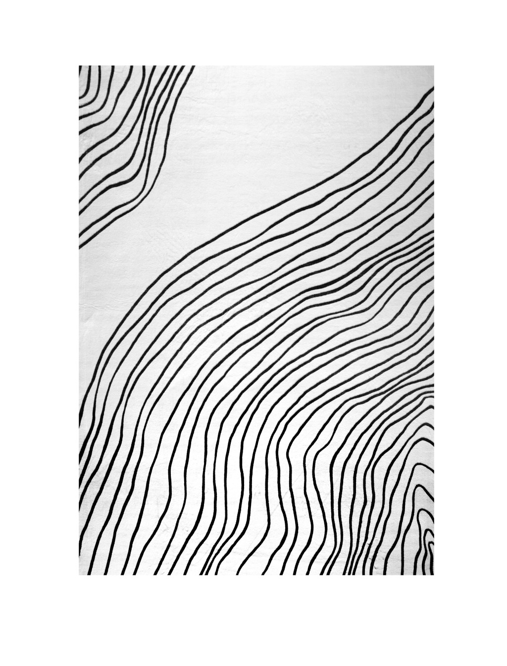 4" X 6" Black and White Abstract Area Rug