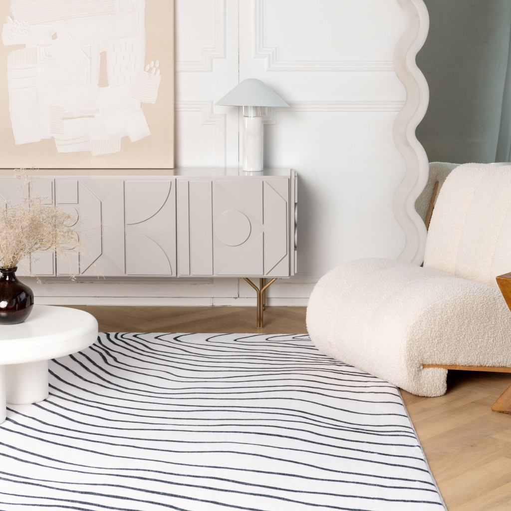 4" X 6" Black and White Abstract Area Rug