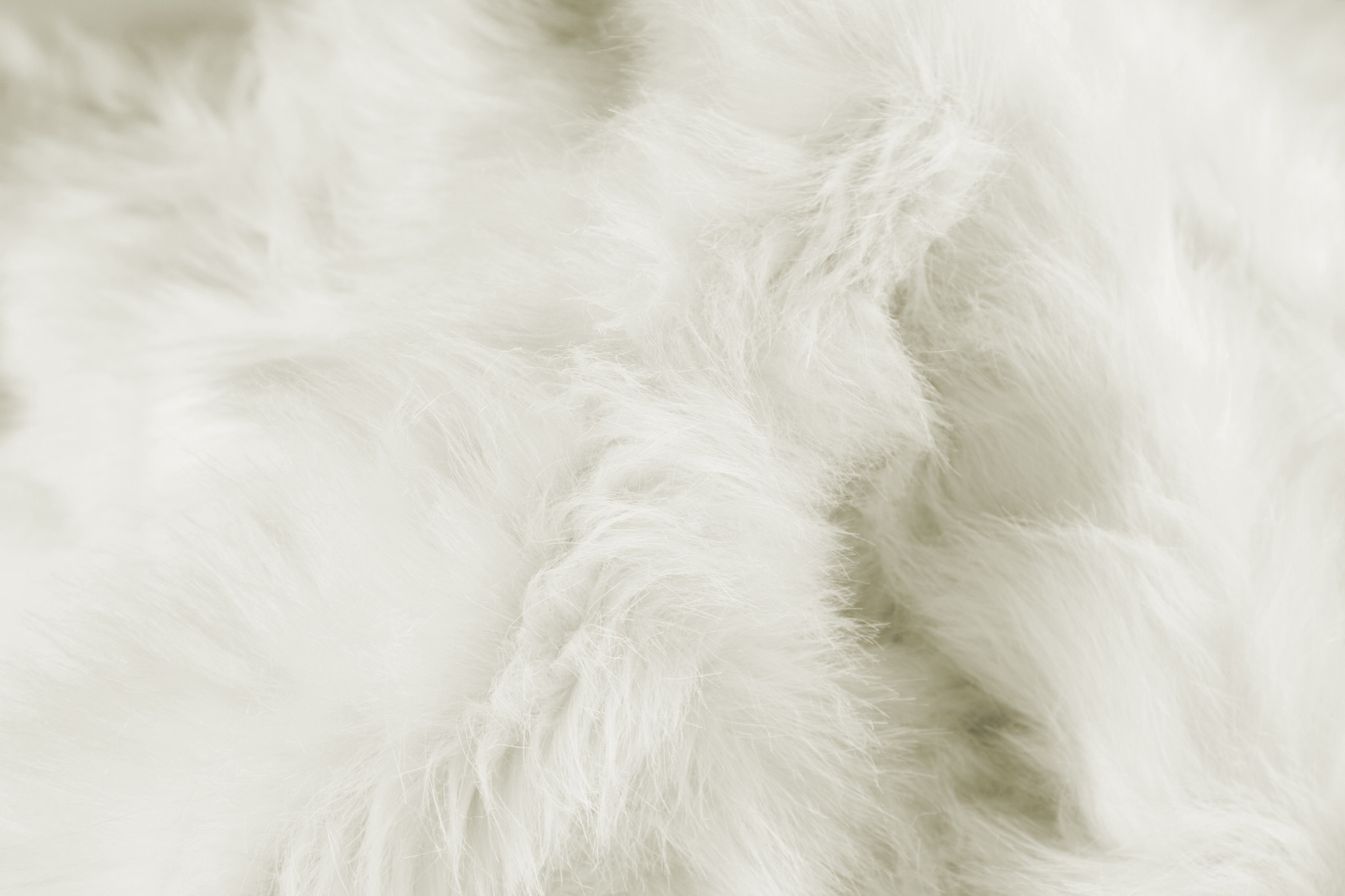 3" X 5" Off White Faux Sheepskin Printed Area Rug