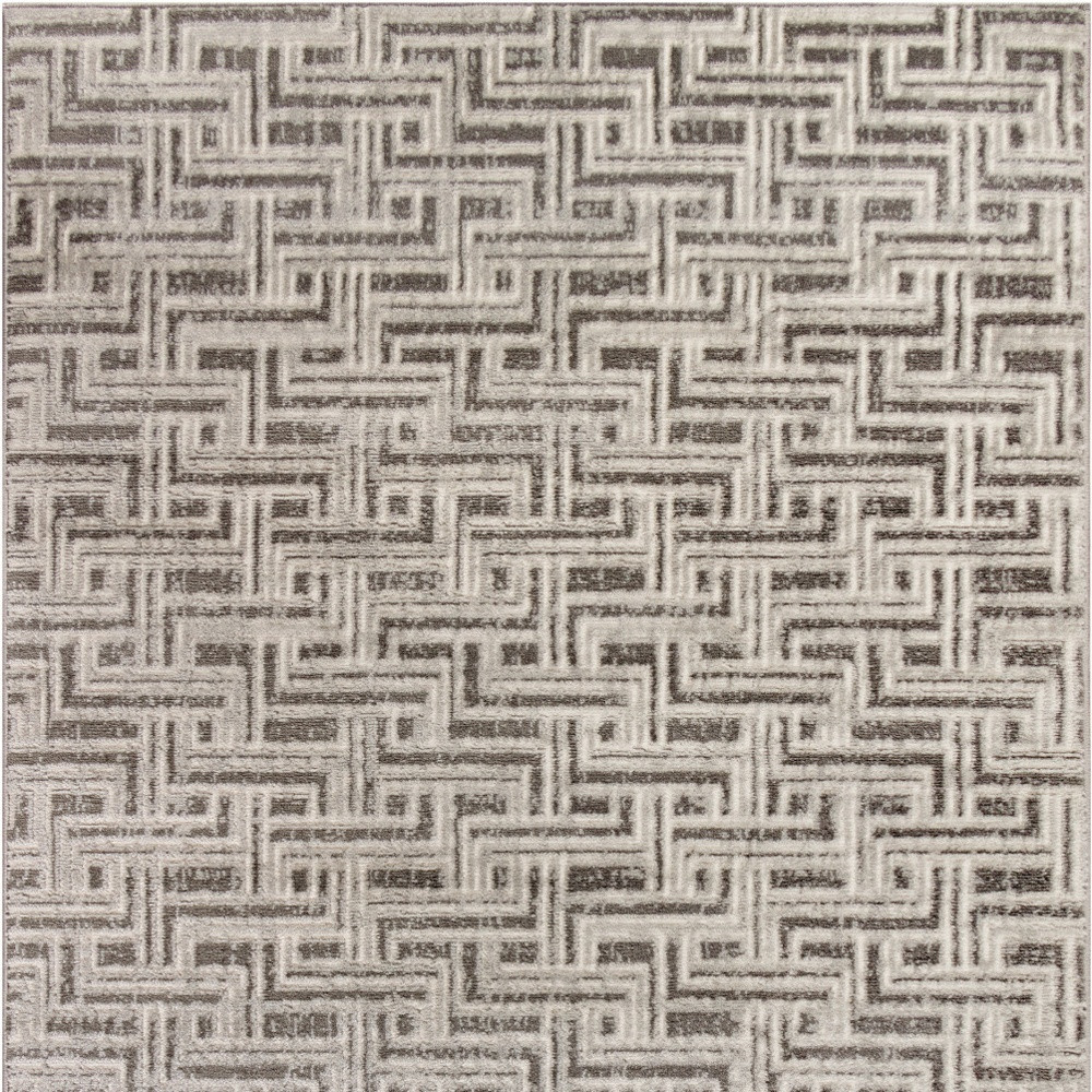 4" X 6" Gray Geometric Distressed Area Rug