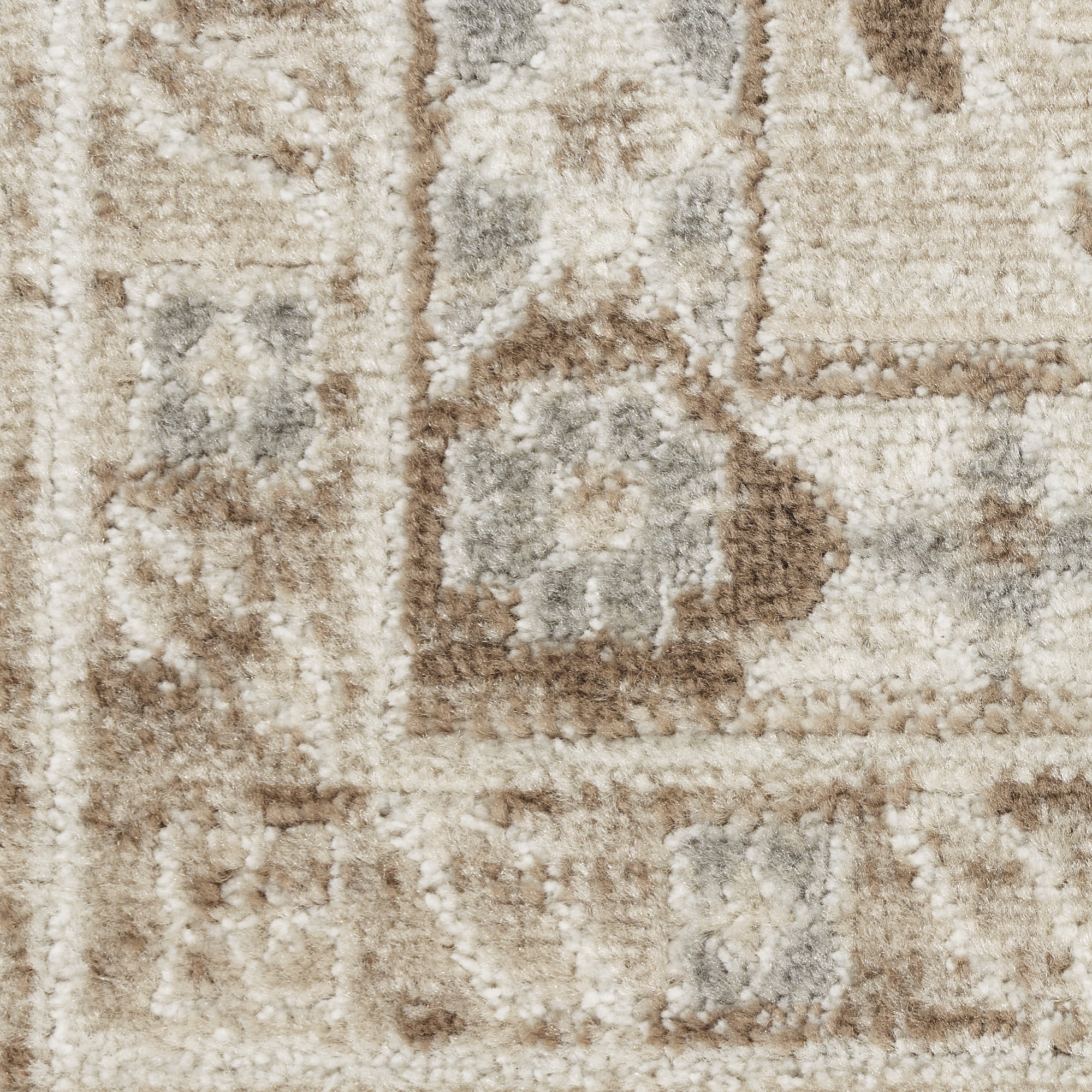 4" X 6" Brown Geometric Distressed Area Rug