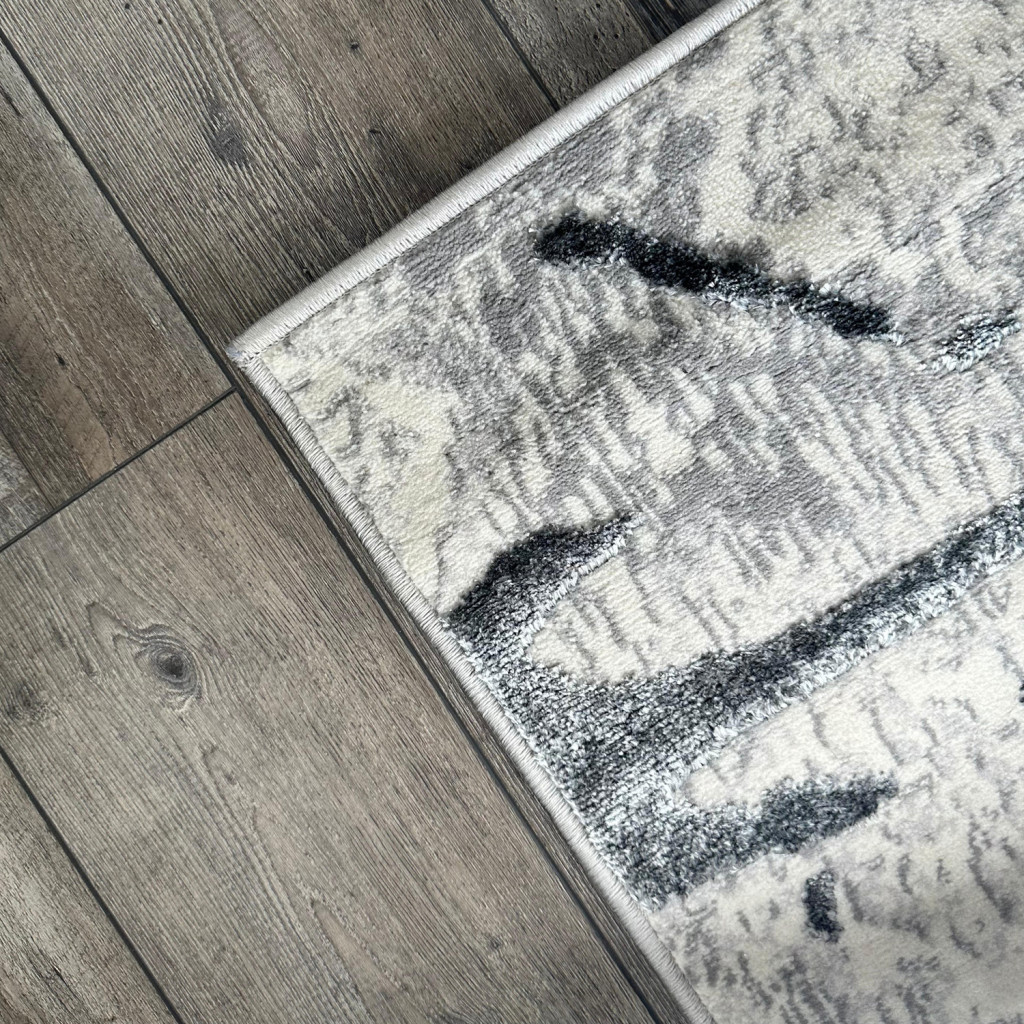 3" X 5" Gray and Silver Abstract Area Rug