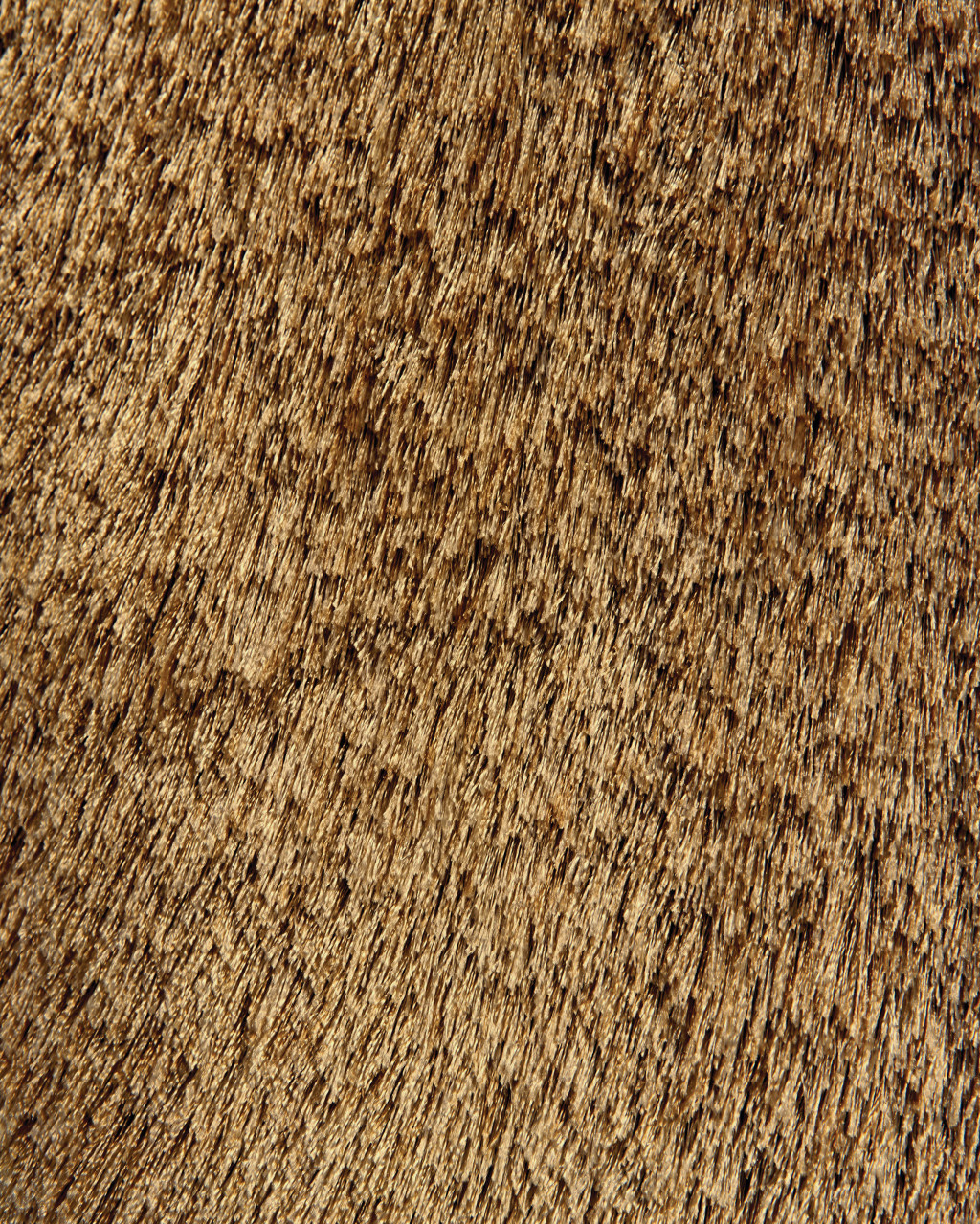 8" X 10" Brown Shag Hand Tufted Area Rug