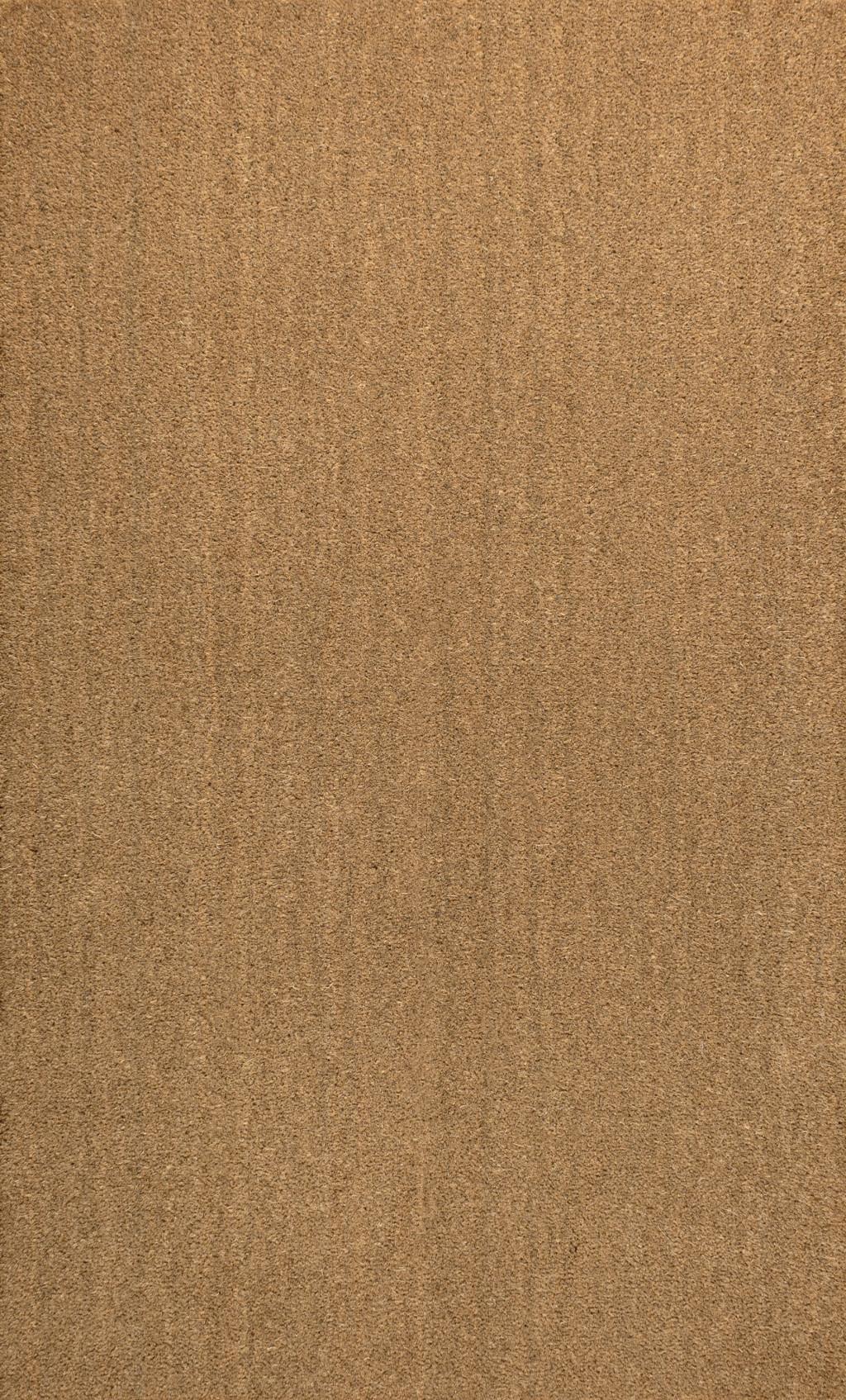 3' X 4' Light Brown Indoor Outdoor Area Rug | HomeRoots